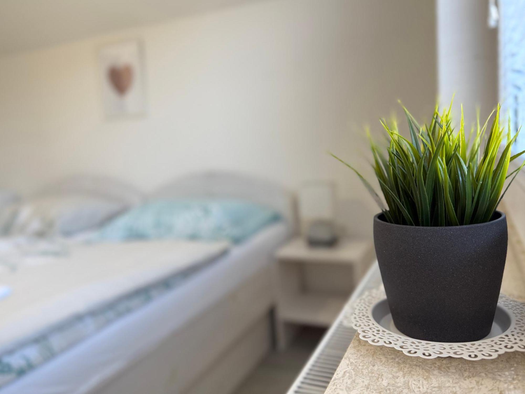 Guest House Kobal Spodnje Gorje ภายนอก รูปภาพ