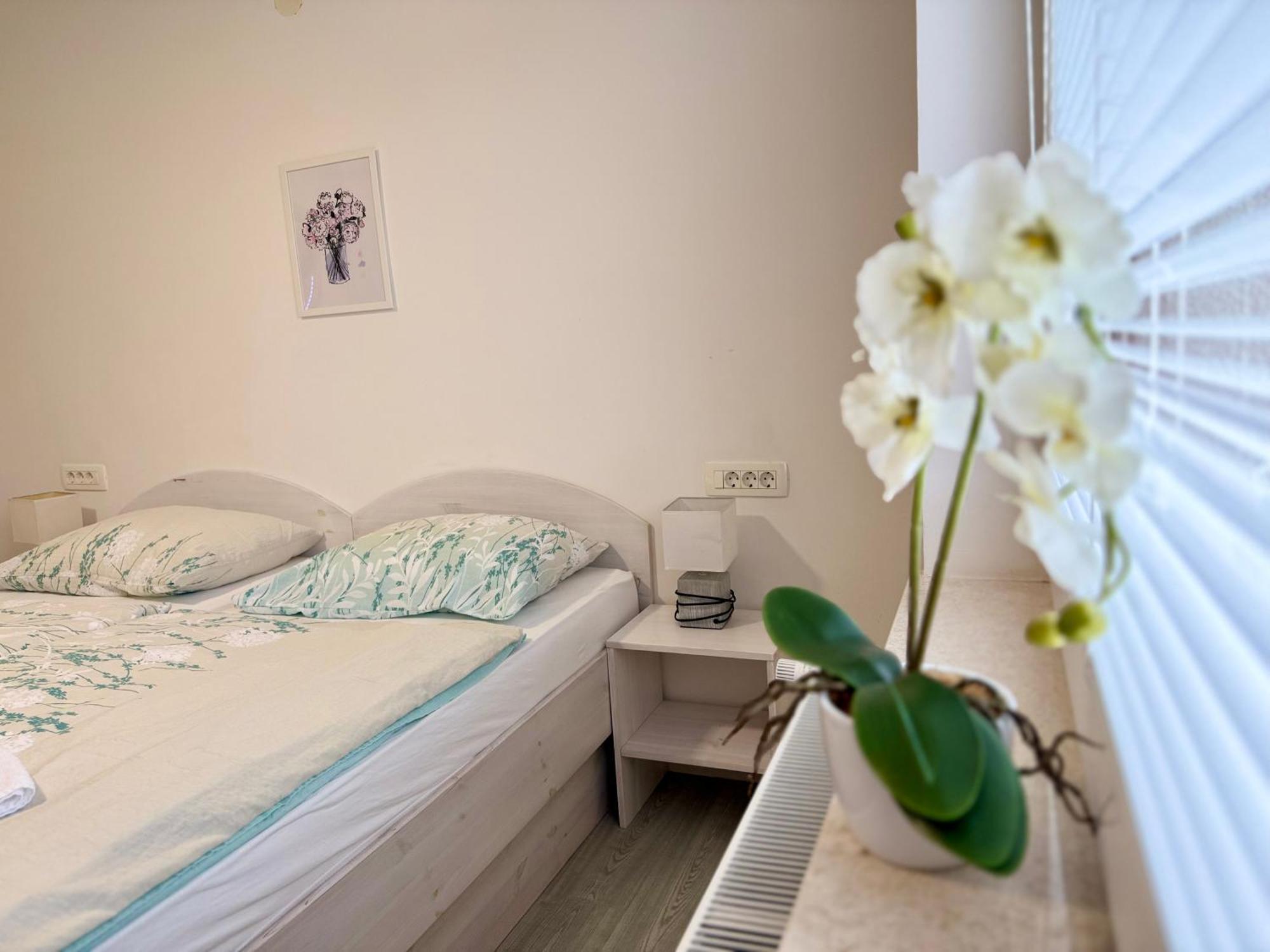 Guest House Kobal Spodnje Gorje ภายนอก รูปภาพ