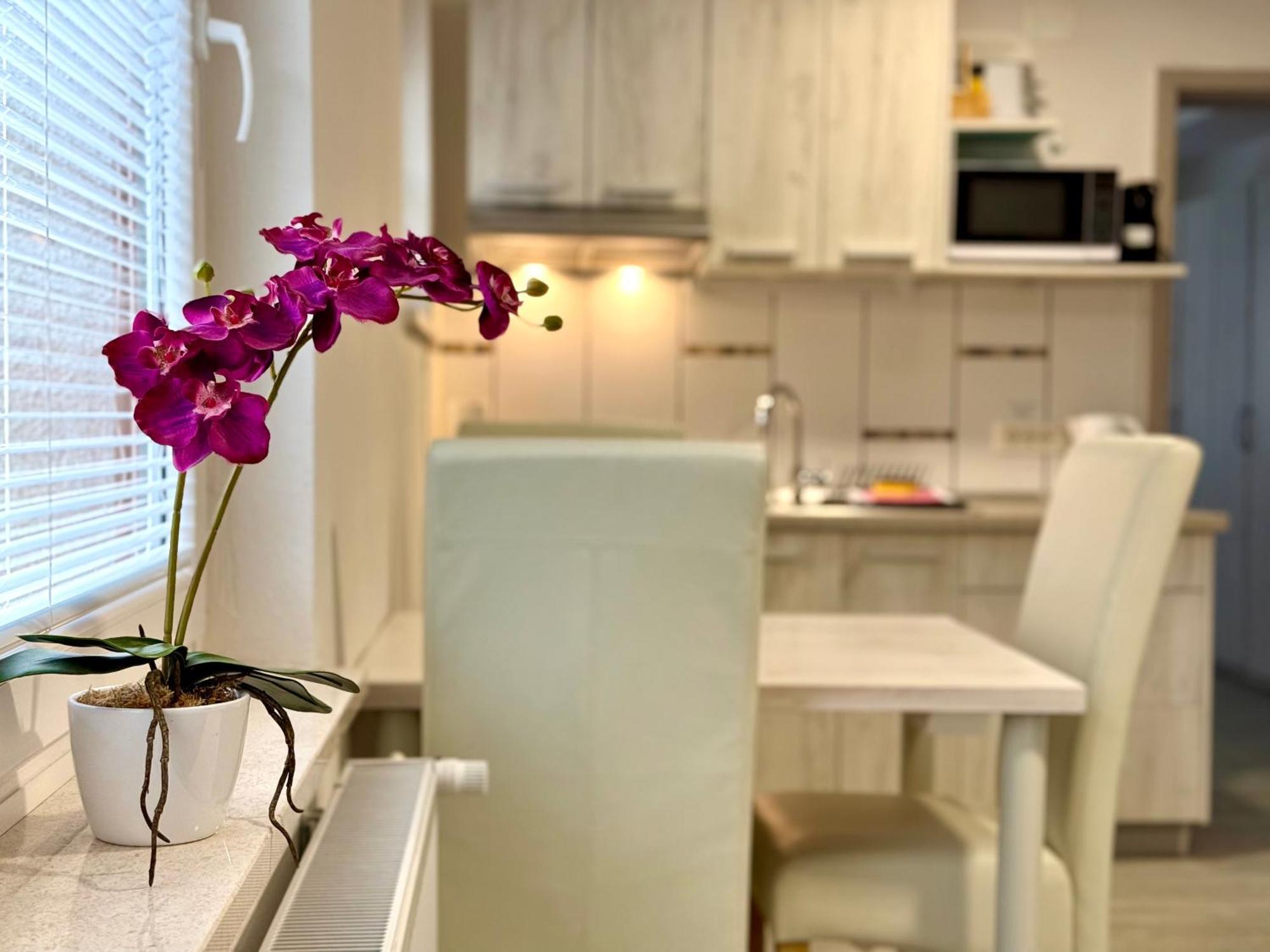 Guest House Kobal Spodnje Gorje ภายนอก รูปภาพ